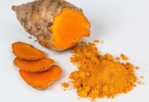 Turmeric extract likely cure for Glaucoma Turmeric cure for glaucoma