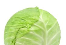 Chemicals in cabbage, kale useful in colon cancer protection Cabbage and colon cancer