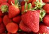 Irritable bowel disease? Try strawberries daily Strawberries can cure IBD