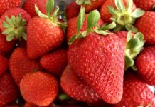 Irritable bowel disease? Try strawberries daily Strawberries can cure IBD