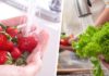 Here’s how to clean fruit to make it safe to eat Washing fruit for safety