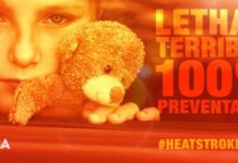 Hot car deaths – two Florida children killed in one day NHTSA hot cars