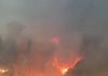Interstate 5 closed as new fire starts near Redding