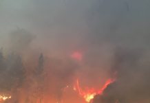 Interstate 5 closed as new fire starts near Redding