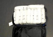 Surrey man smuggled 13 kilos of heroin at Douglas crossing