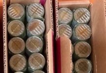 BC banks paid out $30,000 for metal washers rolled up to look like toonies Canadian toonies
