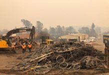 48 deaths in California’s worst wildlife
