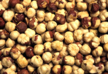 Hazelnuts packed with essential nutrients